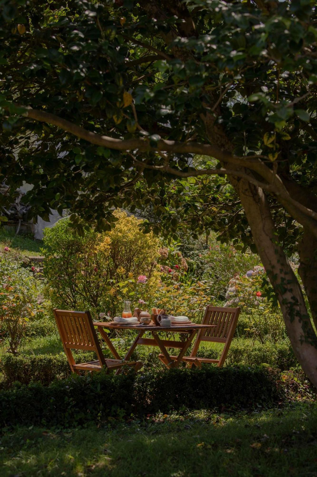 Maison Gamboia, Chambres D'Hotes Au Calme Avec Jardin Hasparren Buitenkant foto
